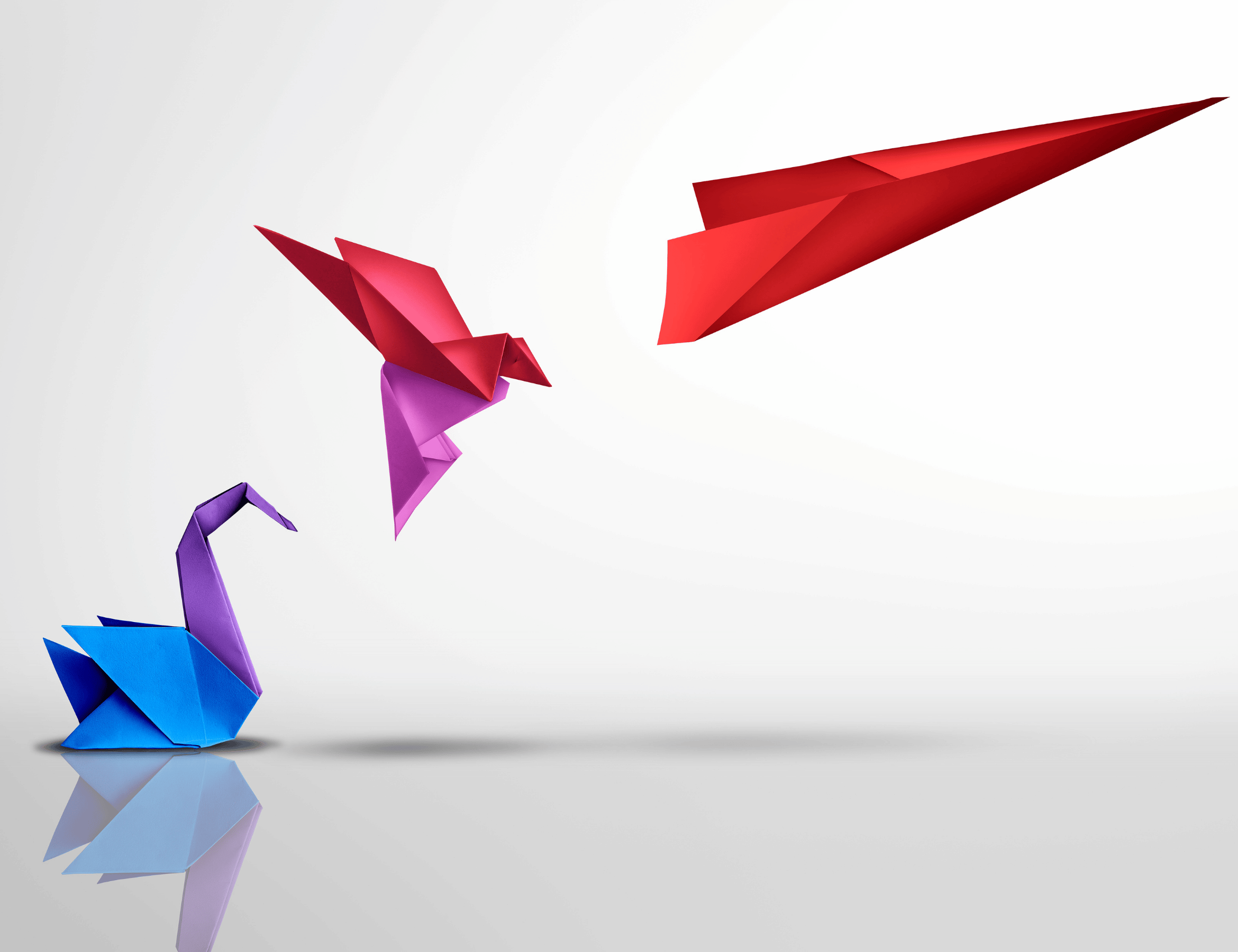 Origami shapes evolving from a sitting bird to a flying bird to an airplane
