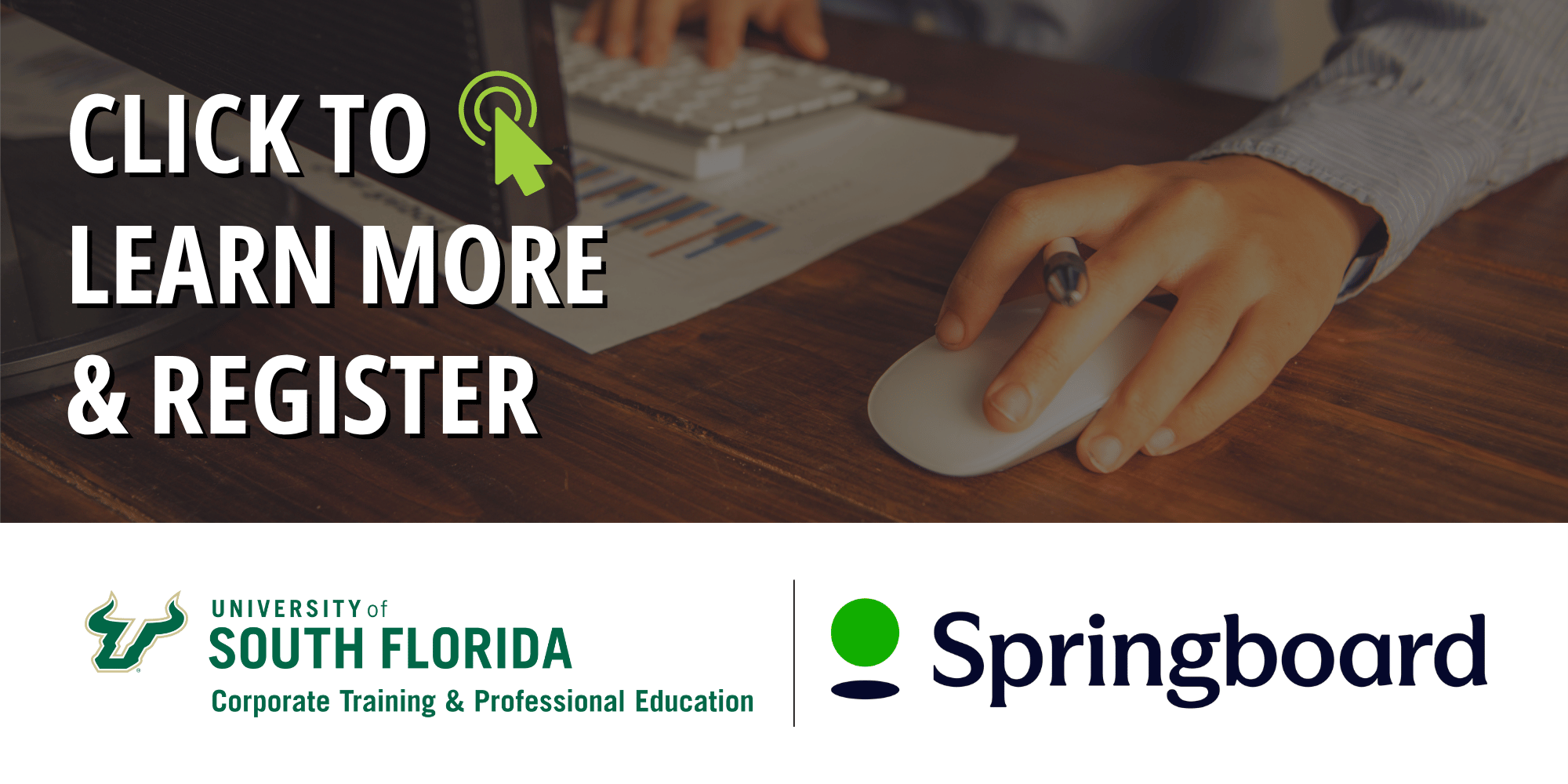 USF and Springboard logos below a person clicking a mouse at a computer